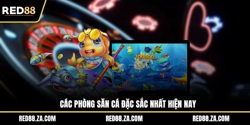 Các phòng săn cá đặc sắc nhất hiện nay