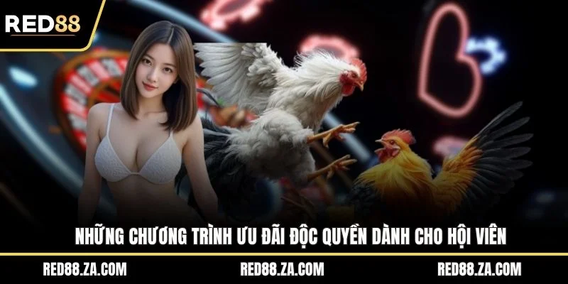 Những chương trình ưu đãi độc quyền dành cho hội viên