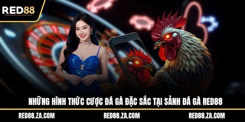 Những hình thức cược đá gà đặc sắc tại sảnh đá gà RED88